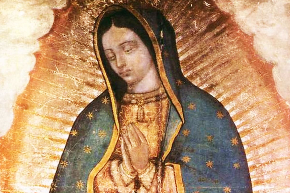 El balance de la tregua por la Virgen de Guadalupe