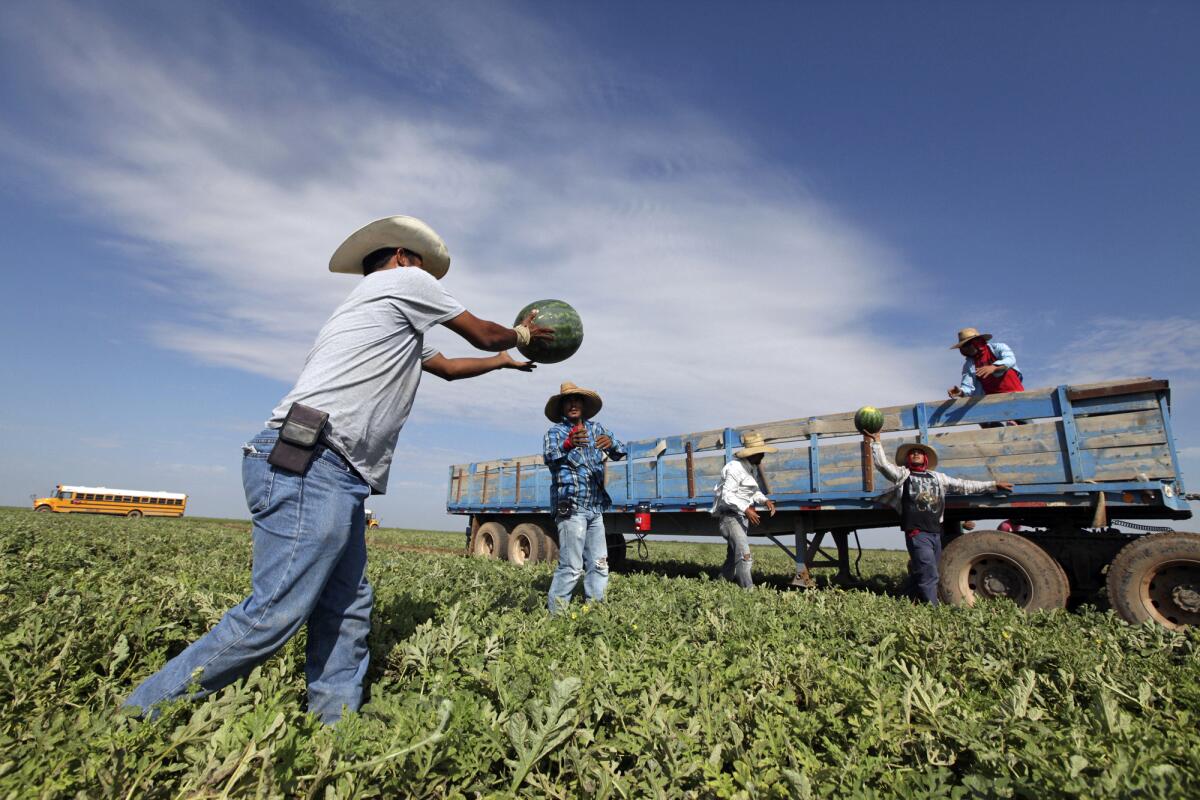 Caería 3% del PIB estadounidense sin migrantes