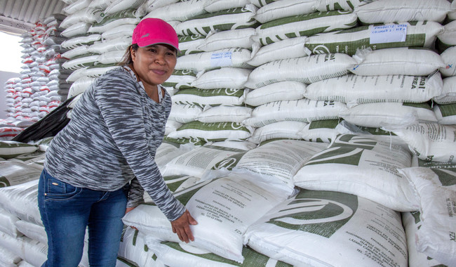 Entregó Sader 987 mil toneladas de fertilizantes a 2.2 millones de productores en 2024