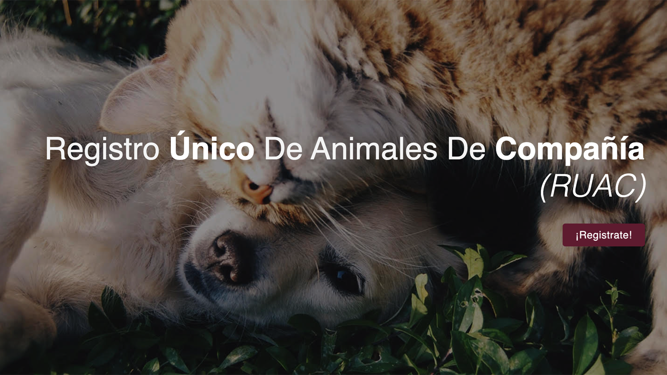 Se suma la CDMX al Registro Único de Animales de Compañía (RUAC)