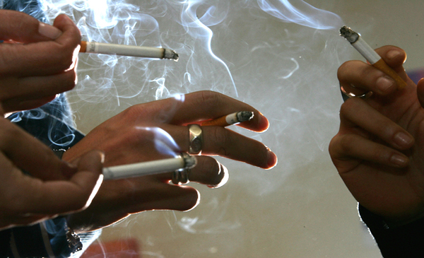Lanzan campaña en la OMS para sustituir el cultivo de tabaco