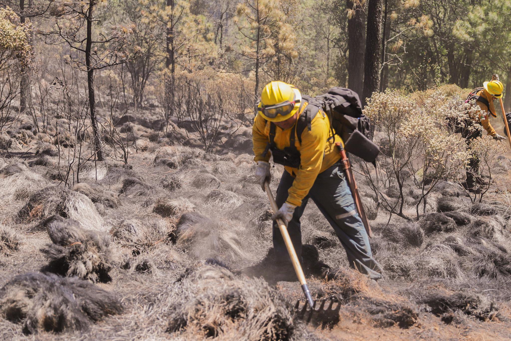 Controlados el 100% de los incendios registrados en Morelos y Oaxaca