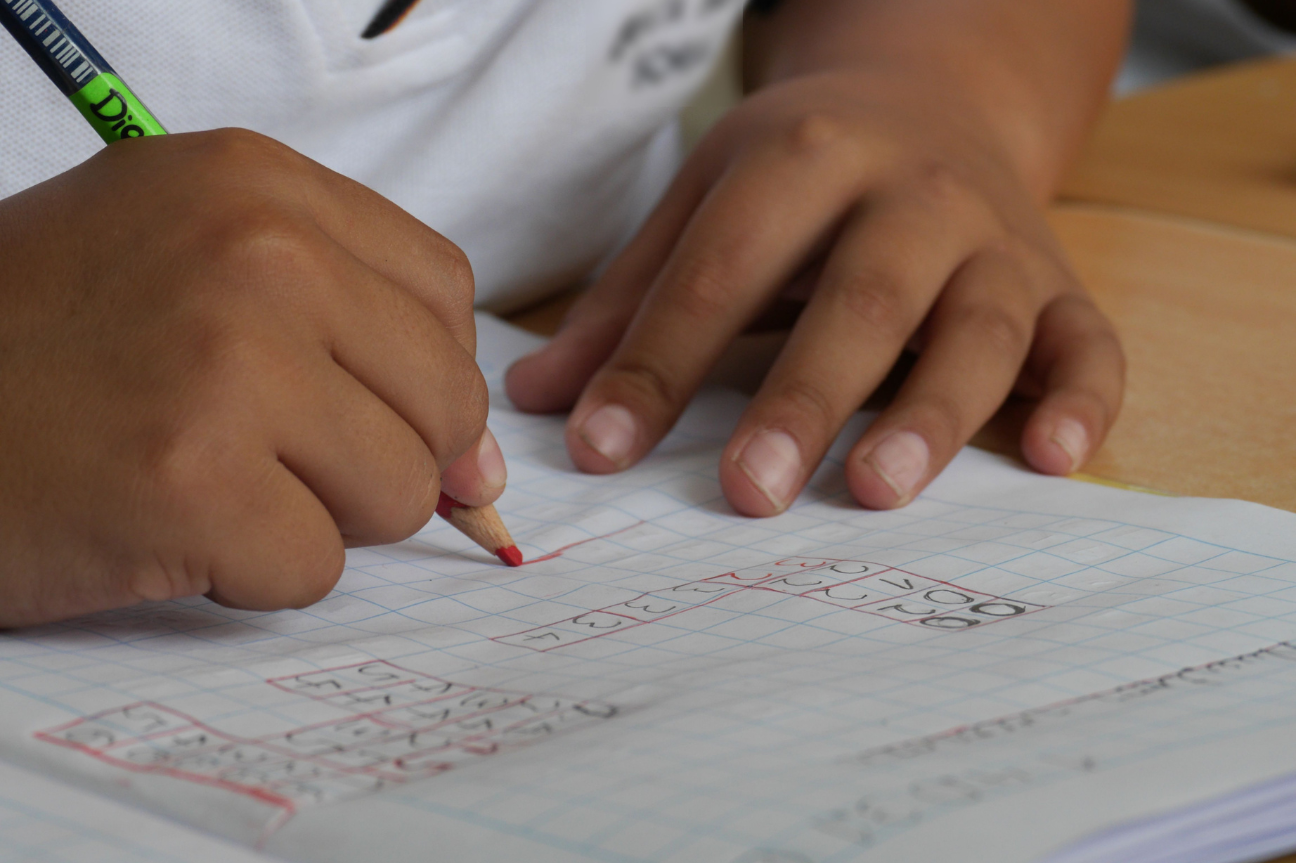 Publica SEP el Plan de Estudios para Educación Preescolar, Primaria y Secundaria en el DOF