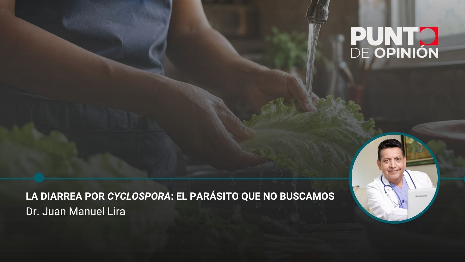 La diarrea por Cyclospora: El parásito que no buscamos