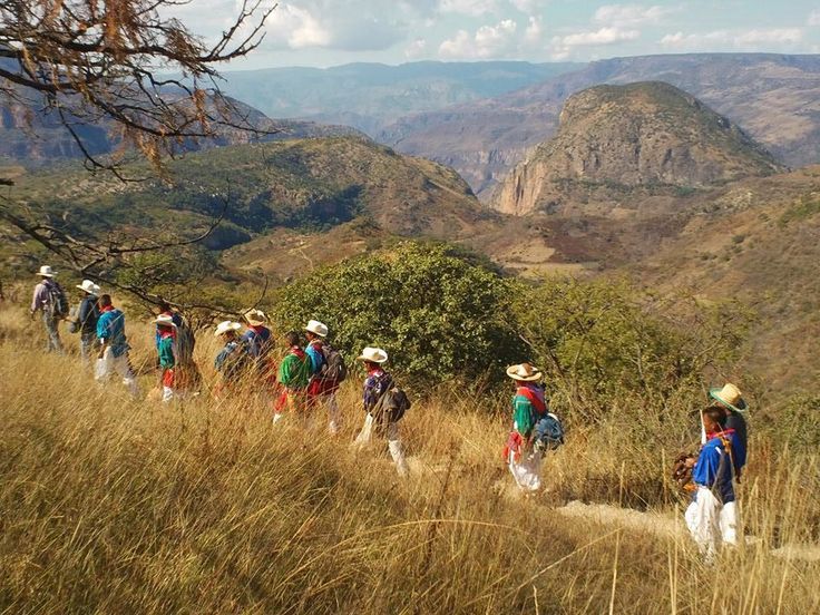 Otorgan amparo al pueblo Wixárika que ordena dejar insubsistentes 44 títulos de concesión minera en el área natural protegida