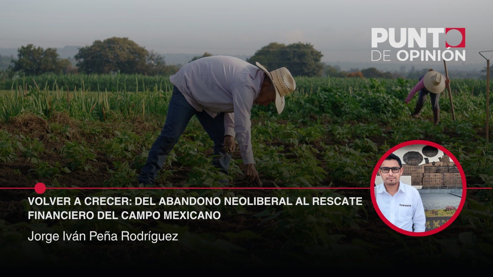 Volver a crecer: del abandono neoliberal al rescate financiero del campo mexicano