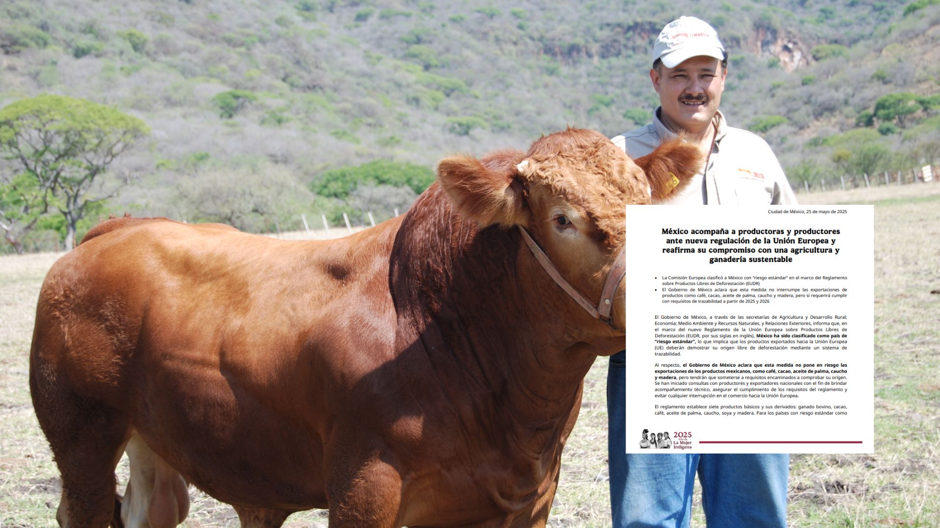 Acompaña México a productores ante nueva regulación ambiental de la Unión Europea