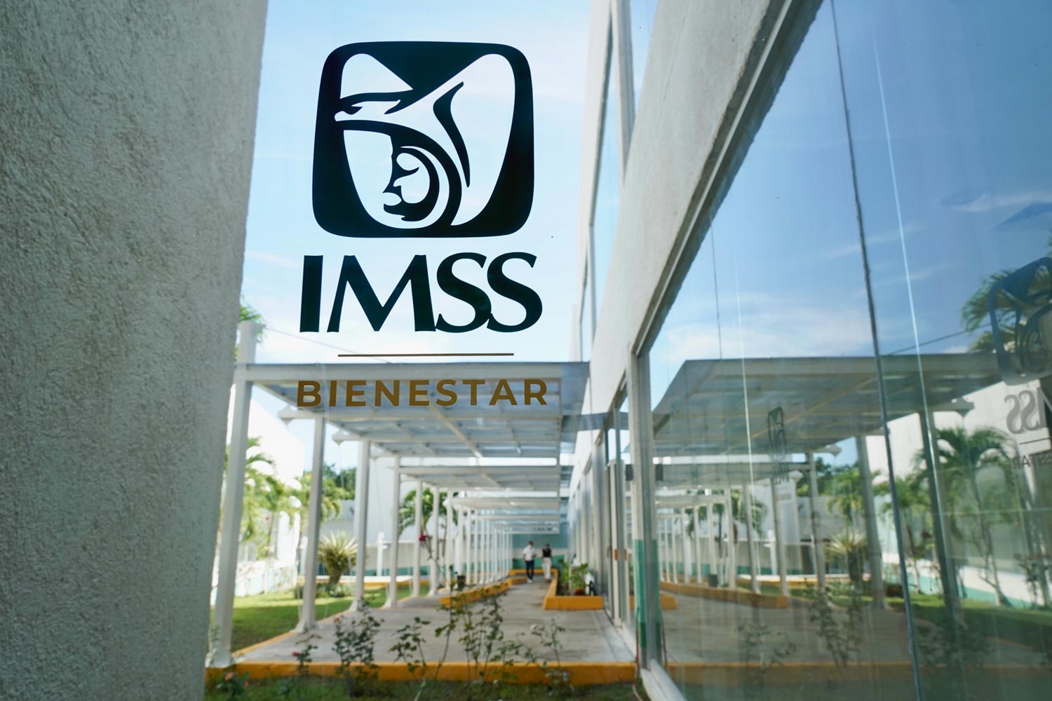 Informan avances del Programa IMMS Bienestar en 18 estados de México