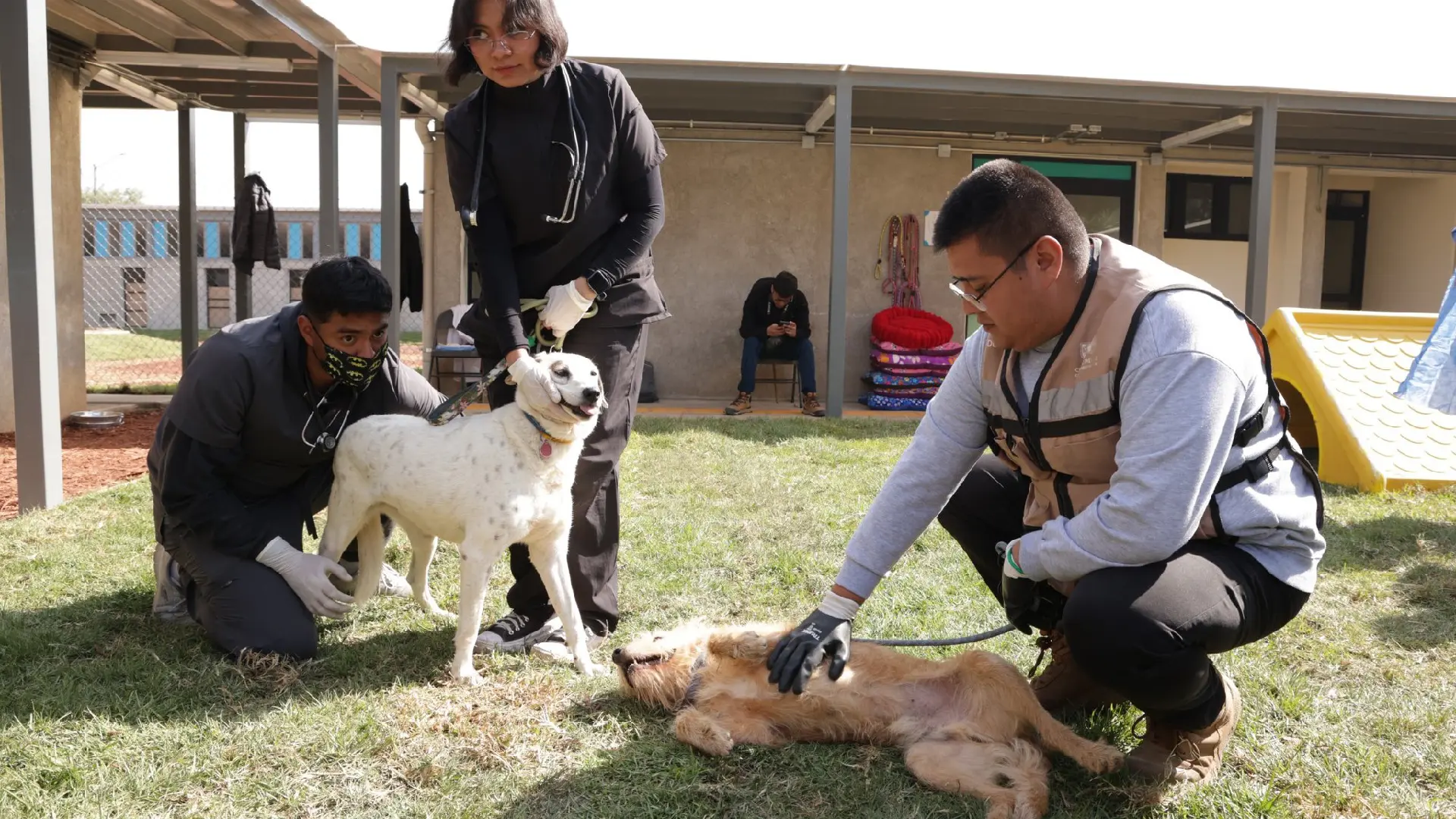 Sostiene Gobierno de la CDMX reuniones con integrantes del Refugio Franciscano