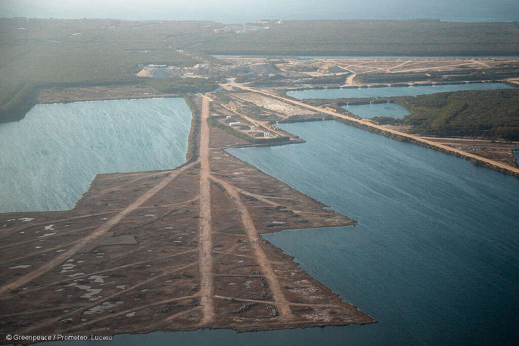 Ordenan a Calica restaurar zonas explotadas bajo supervisión de autoridades ambientales