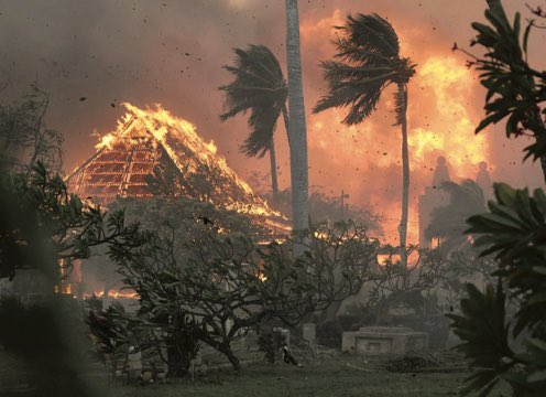 Deja comunidades enteras destruidas el incendio forestal en Maui, Hawái