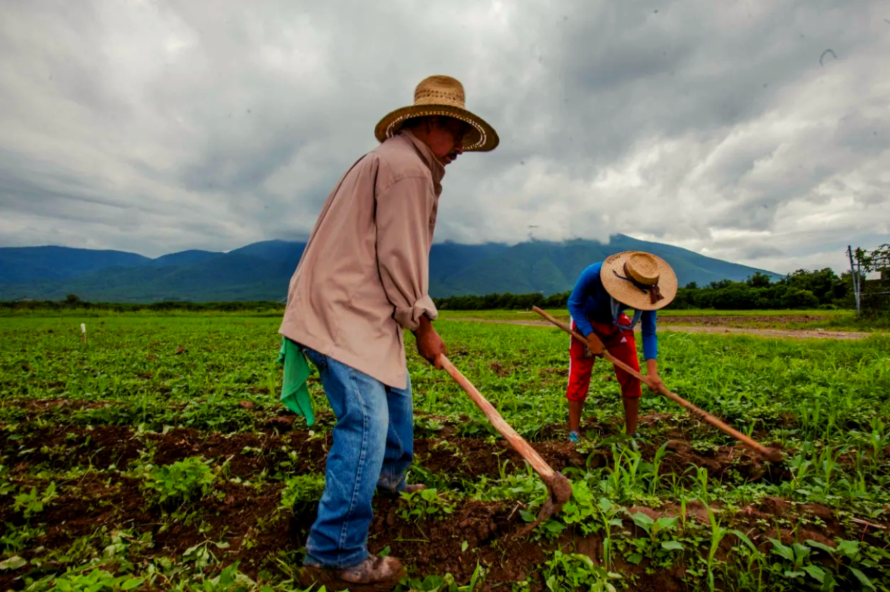 Sin justicia agraria, no hay país