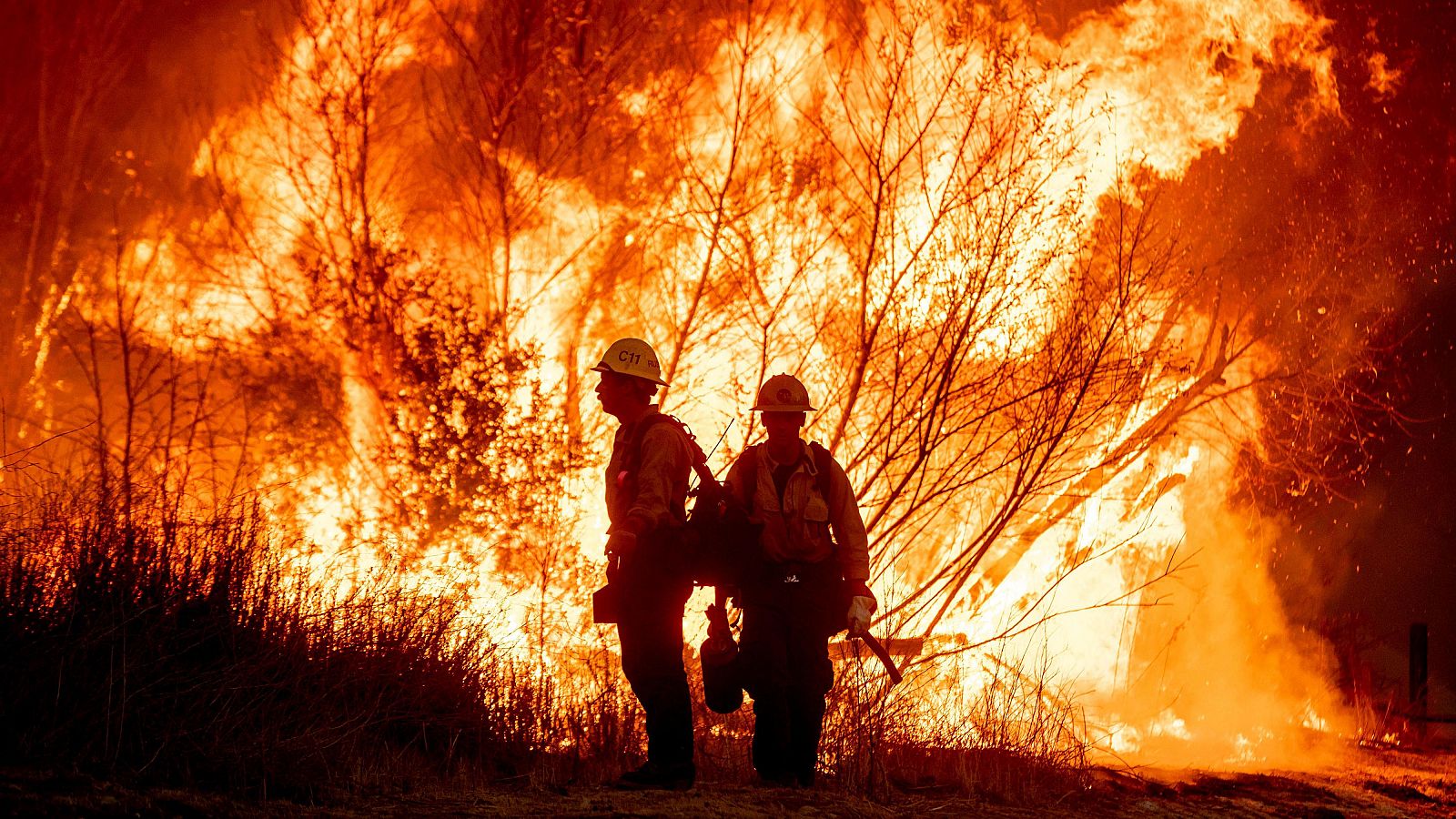 Aumentan a 16 las muertes por incendios forestales en California