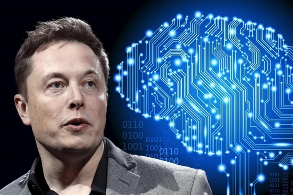 Neuralink, empresa de Elon Muks, es investigada por maltrato animal