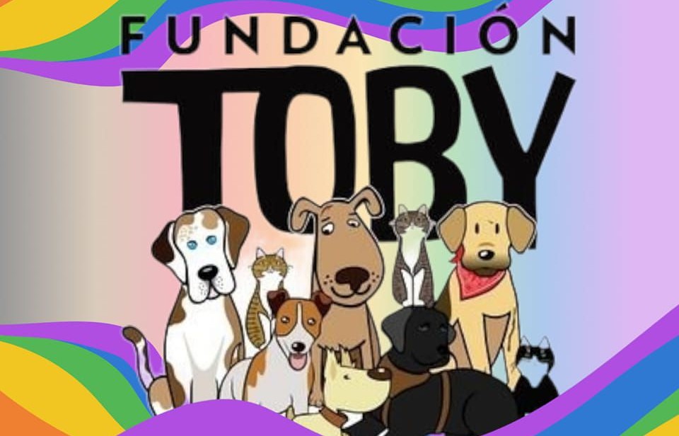 Fundación Toby: un refugio que rescata perritos maltratados