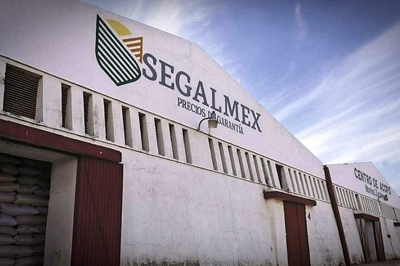 Vinculan a proceso a René “G”, exdirector de Segalmex por desvío de recursos públicos