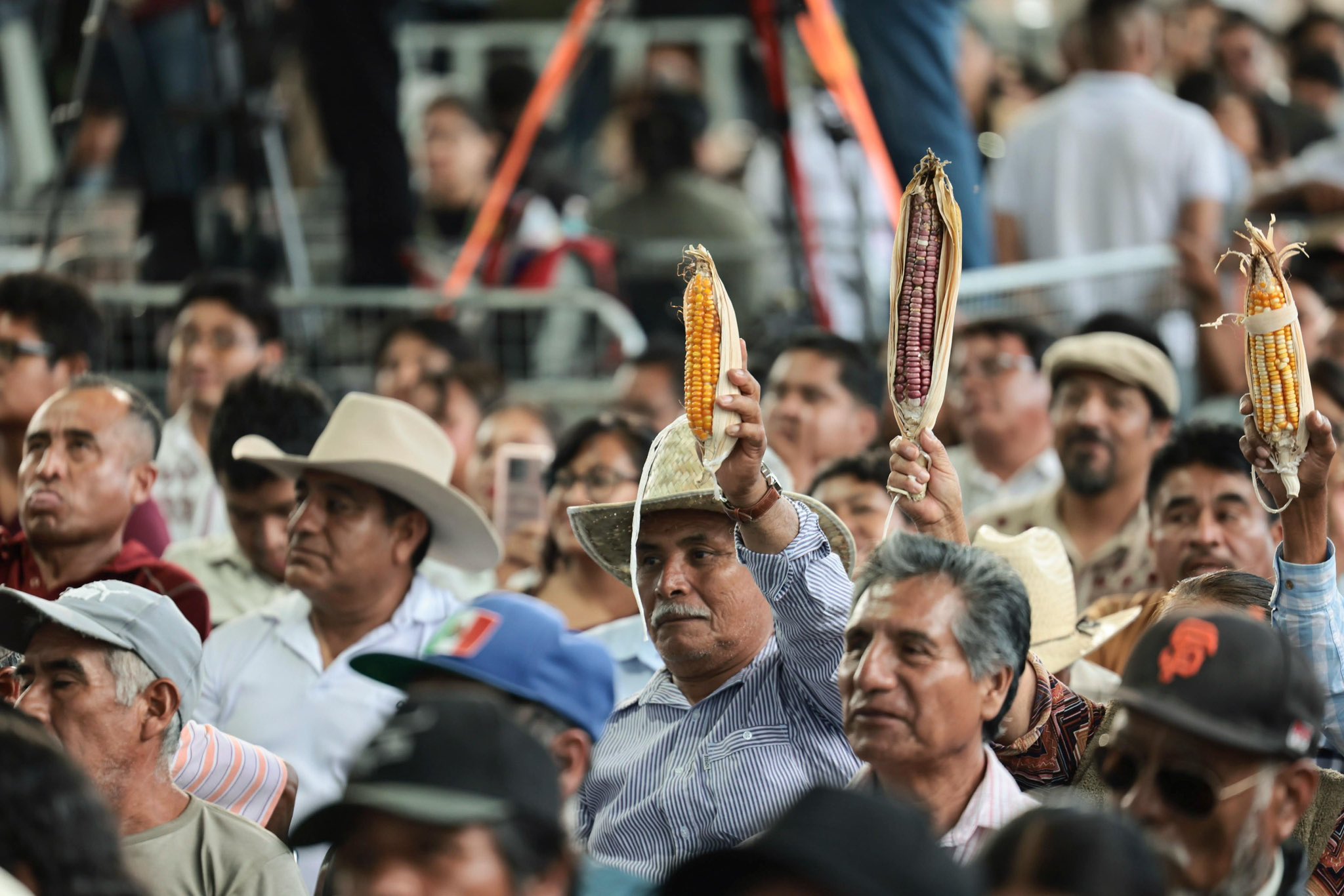 Entrega presidenta Sheinbaum apoyos a productores de maíz en Oaxaca