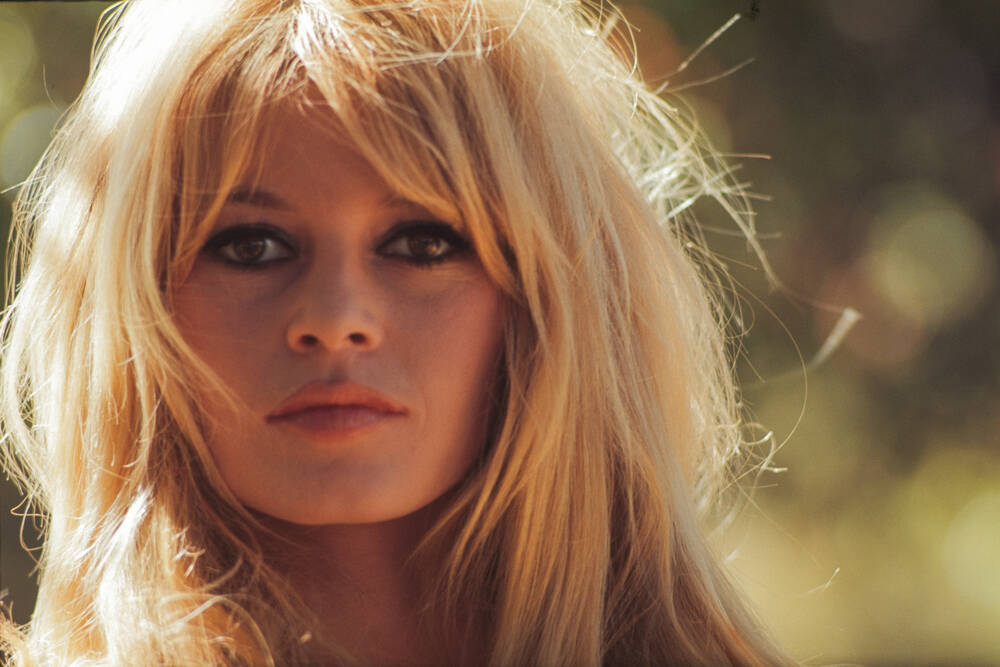 Fallece Brigitte Bardot, ícono del cine y defensora, a sus 91 años