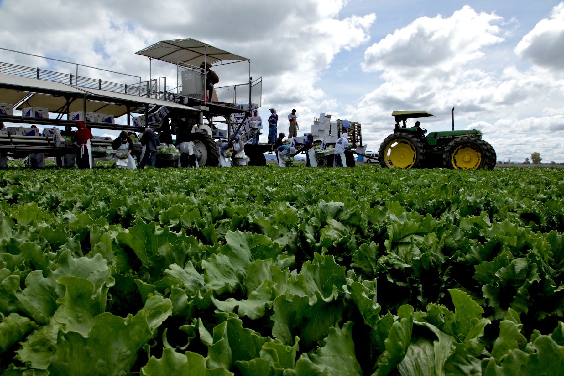 Crece 1.7% actividad económica interanual en octubre: Inegi