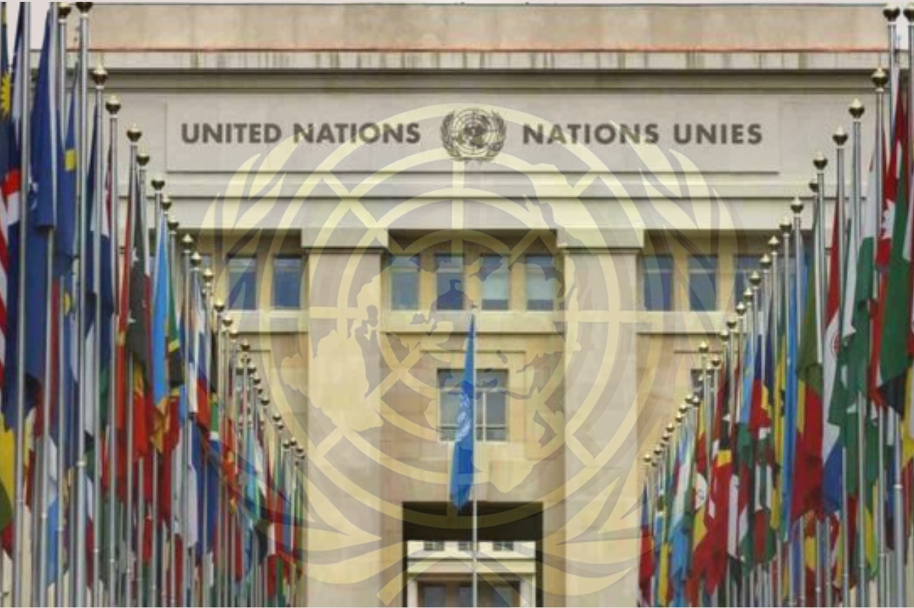La ONU y los estados unidos una historia de amor