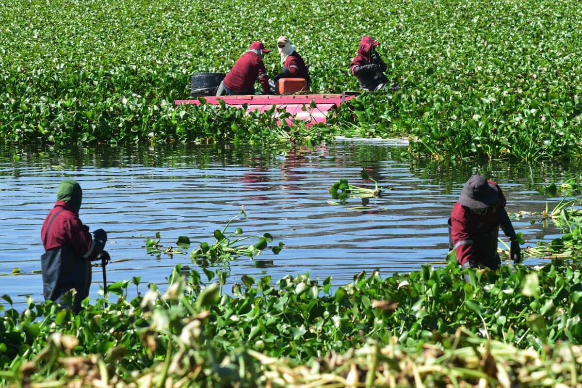 Atienden Semarnat y dependencias la restauración ecológica de la presa Endhó, Hidalgo