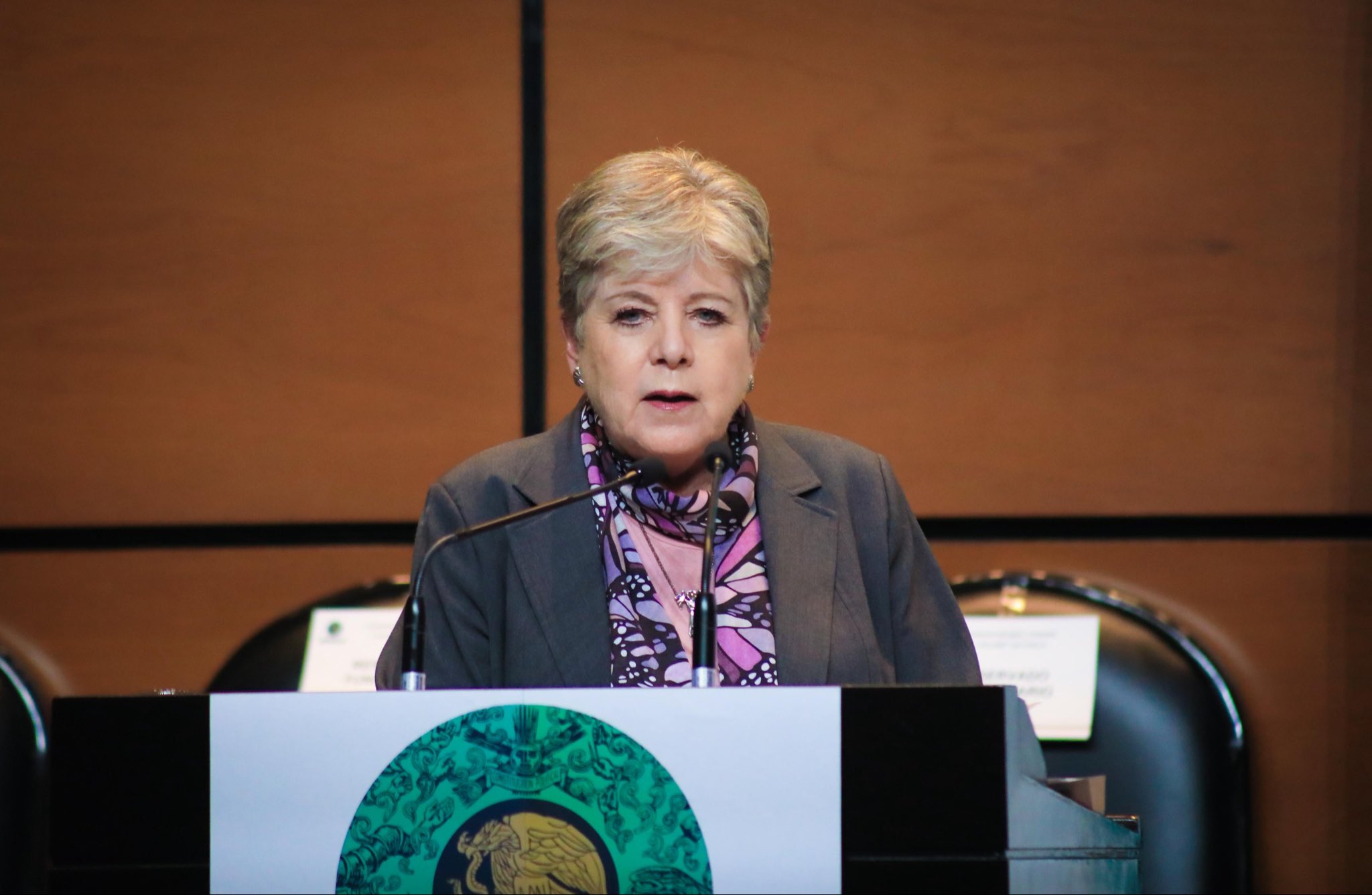 Resalta Alicia Bárcena políticas ambientales ante Cámara de Diputados