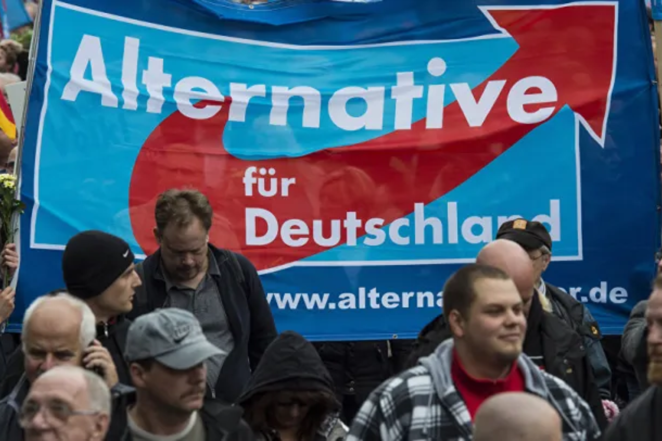 El ascenso de Alternativ fur Deutschland en Alemania