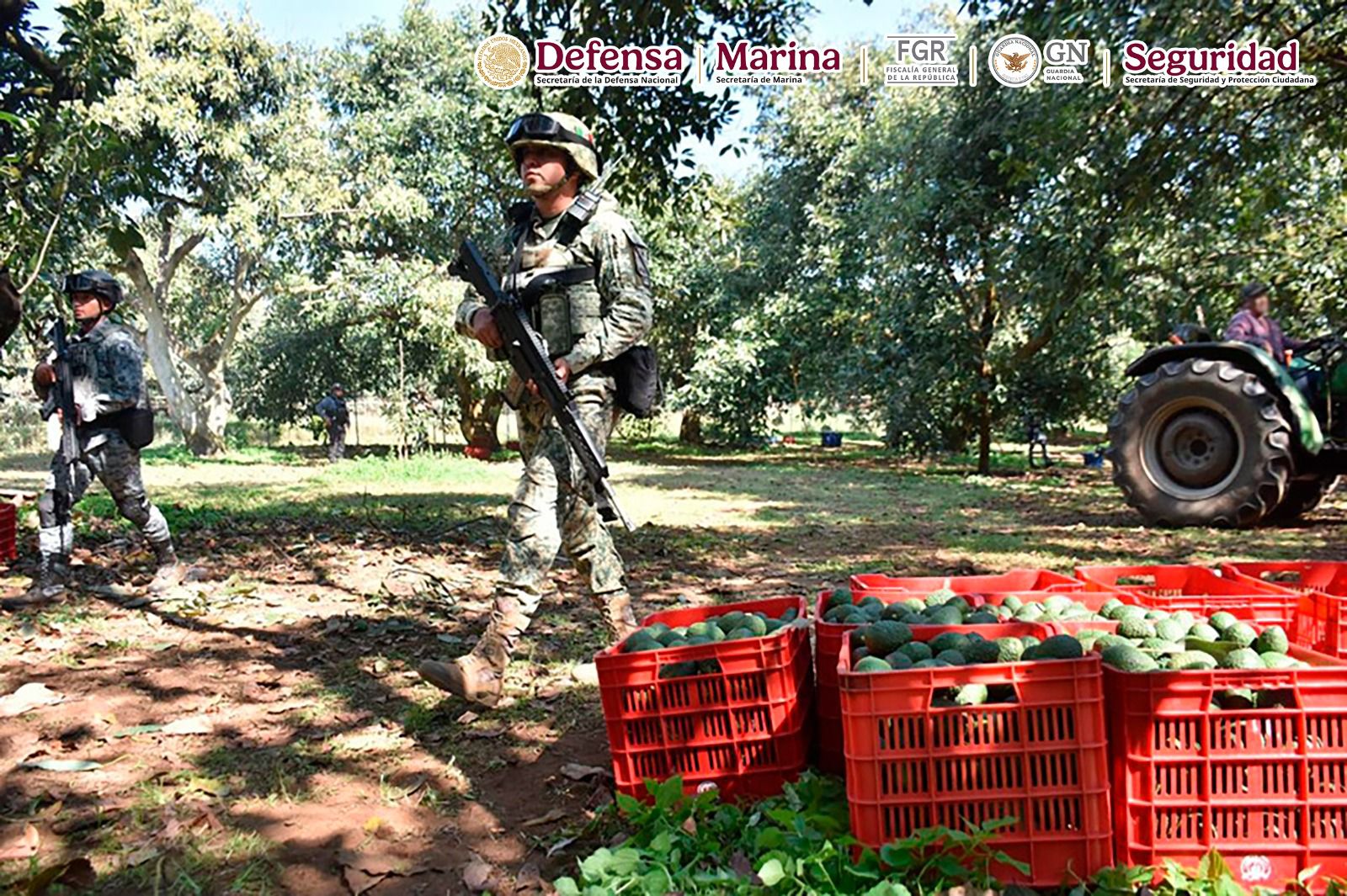 Detiene Gabinete de Seguridad a 213 personas y aseguran armamento como parte del Plan Michoacán