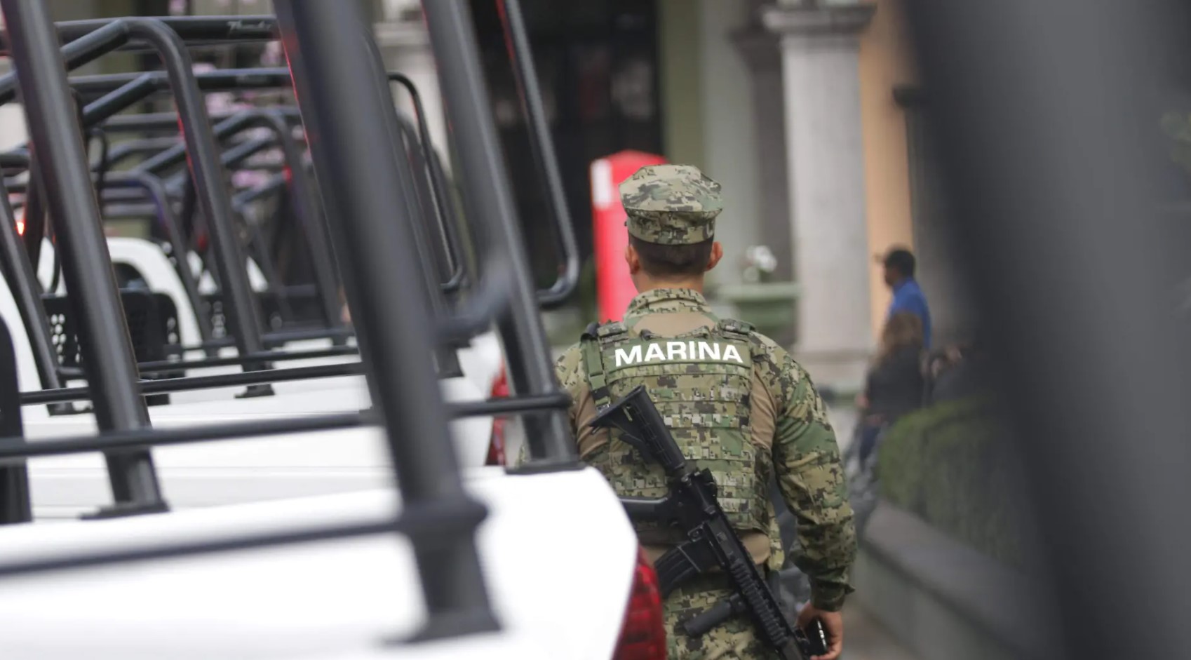 Destruye Ejército la plantíos de drogas e incauta materias primas con un impacto de 46 mdp al crimen organizado