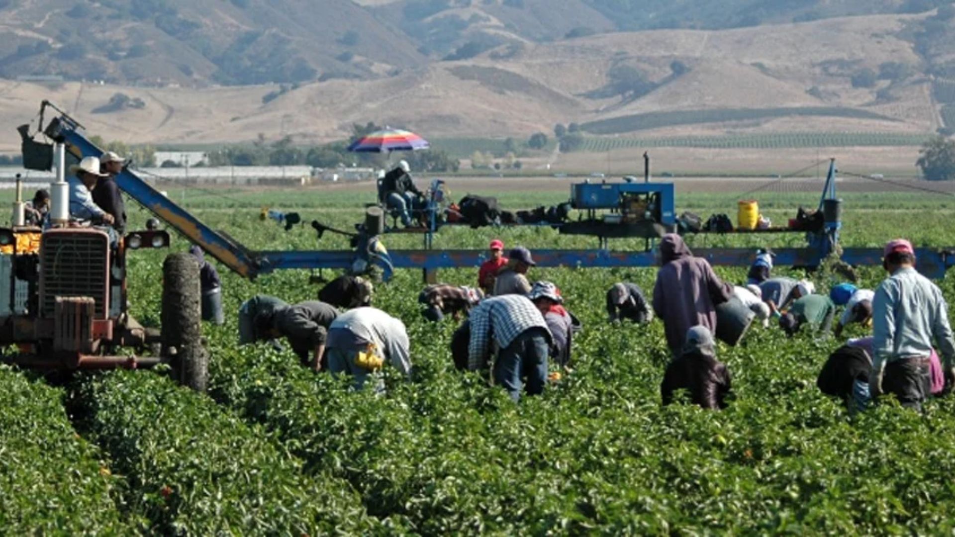 Evidencian falta de protecciones laborales en el campo agrícola de EE.UU. tras muerte de jornalero mexicano por insolación