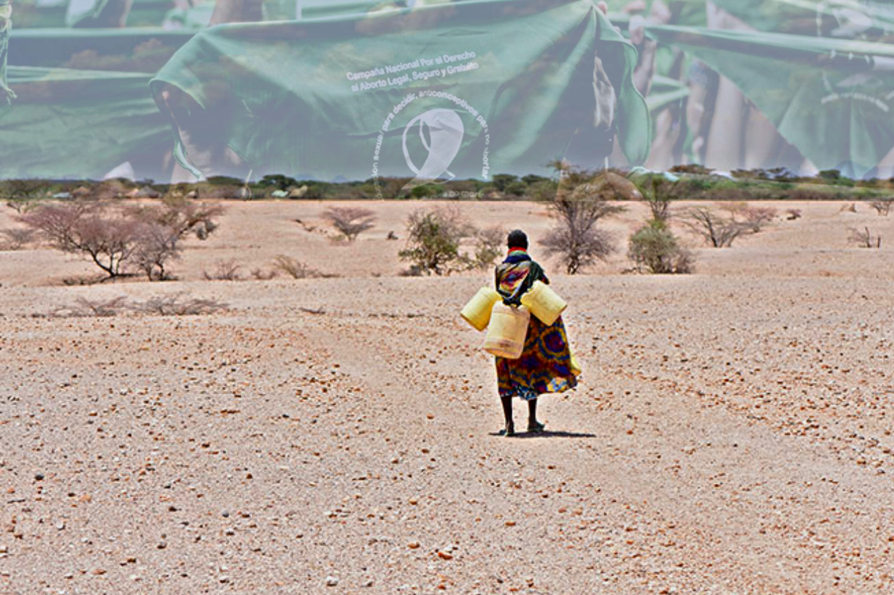 Género y cambio climático: para combatir la ola de calor, se necesita de la marea verde