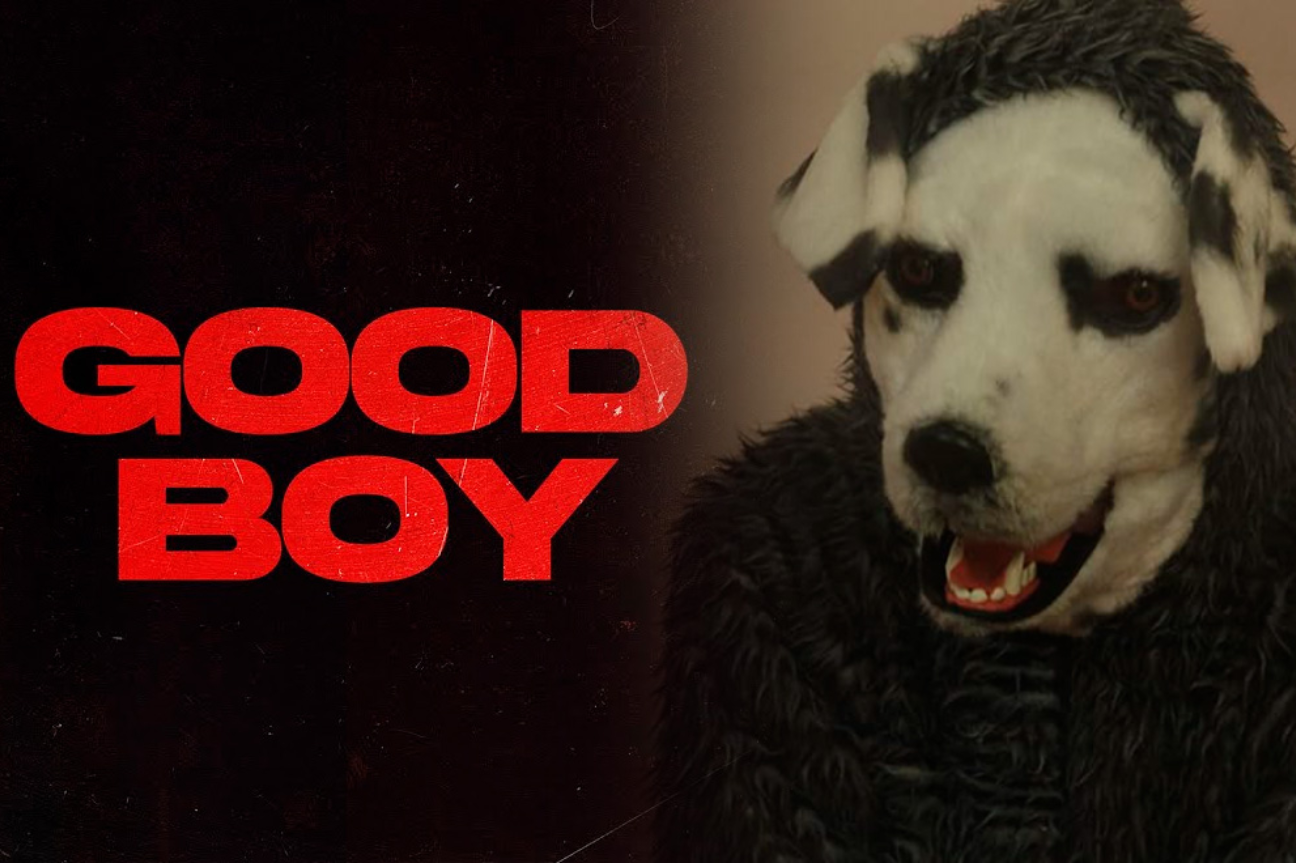 Good boy: un terror sin gritos