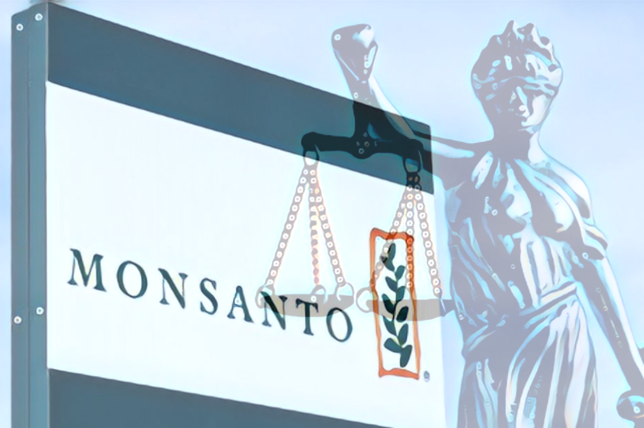 Entre formalismos excesivos y manipulación del principio precautorio: juez da razón a Monsanto