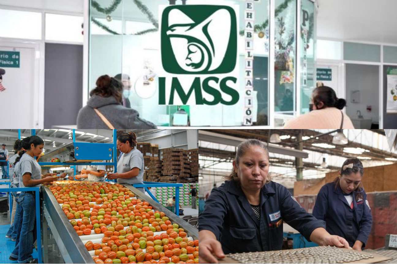 Spr Informa Alcanza Empleo Formal Máximo Histórico En El Imss 9618