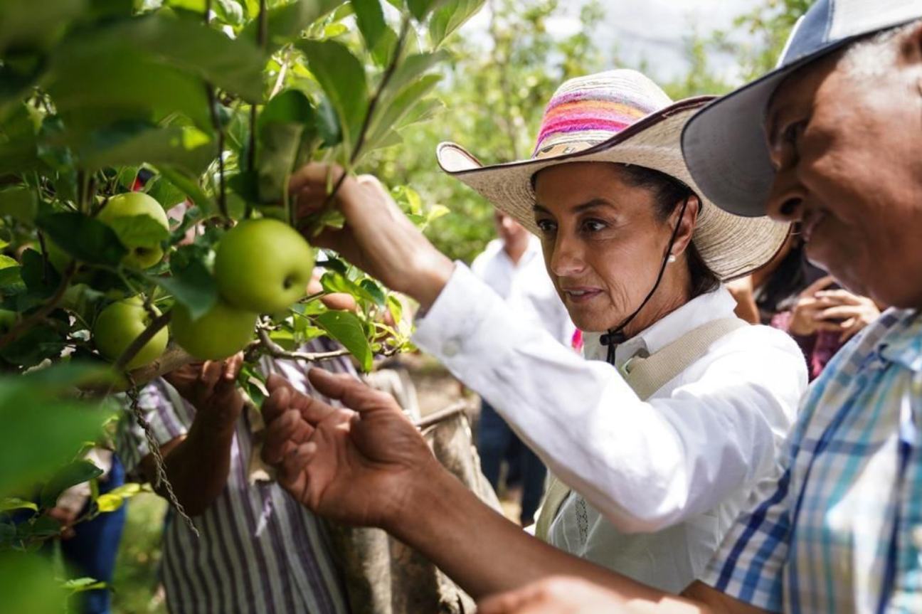 La agenda climática y agrícola de Claudia Sheinbaum