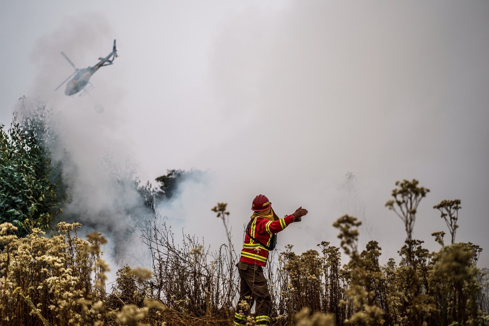 Ofrece México ayuda al gobierno chileno tras los incendios en Valparaíso