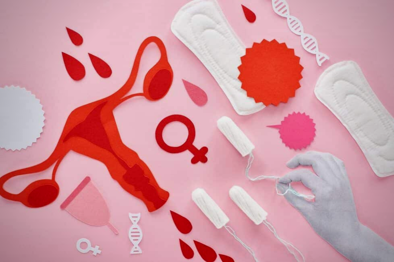 "De la estigmatización a la inclusión: El papel del gobierno en la reforma menstrual".