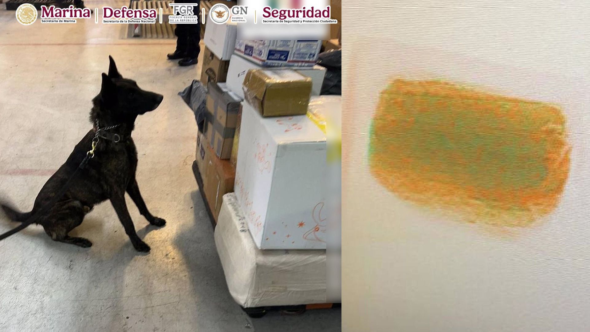 Aseguran elementos del gabinete de Seguridad paquete de fentanilo en el AICM; se evitará producción de más de un millón de dosis de dicha droga