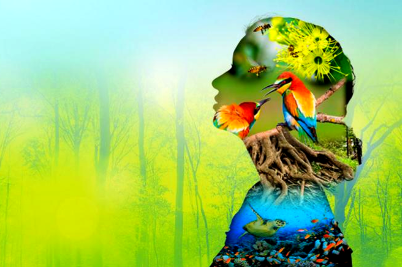 Día internacional de la Biodiversidad, un homenaje a la vida