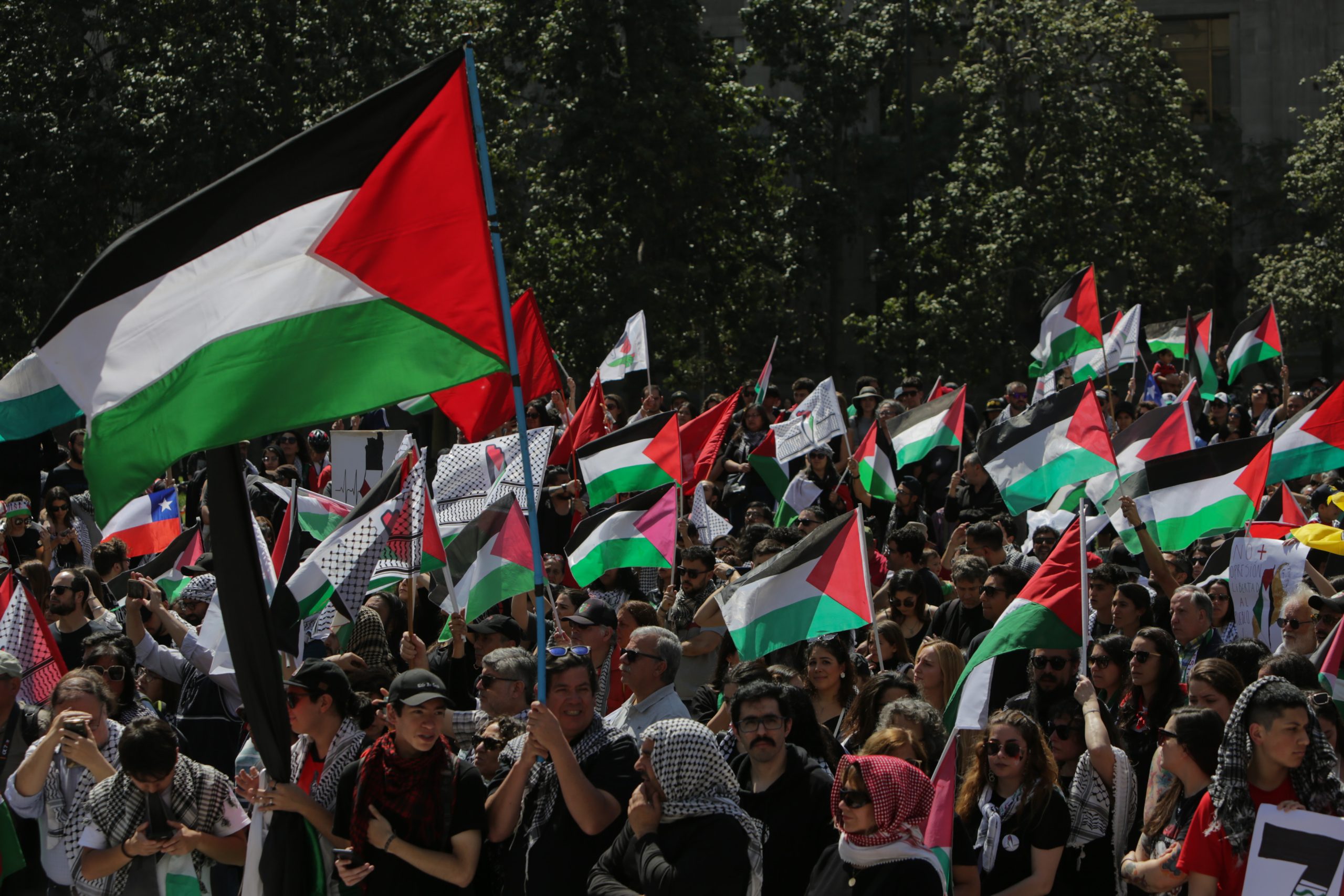 ¿Qué países han reconocido a Palestina como estado?
