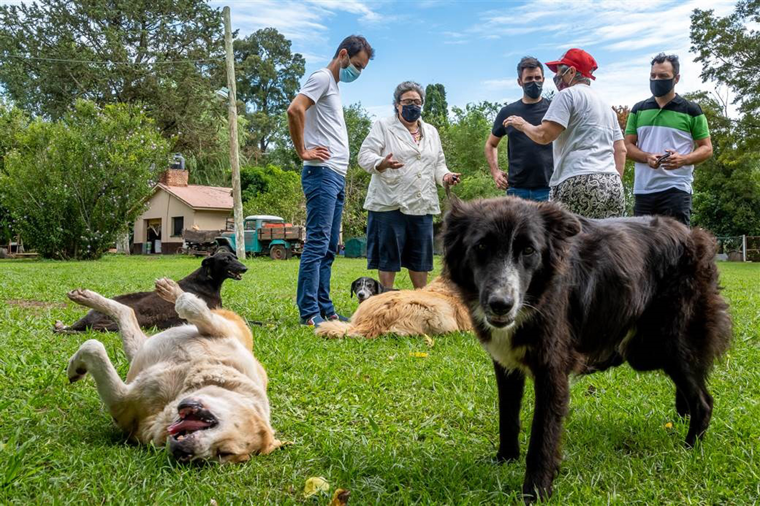 Cuidar de nuestros animales, un paso humanista