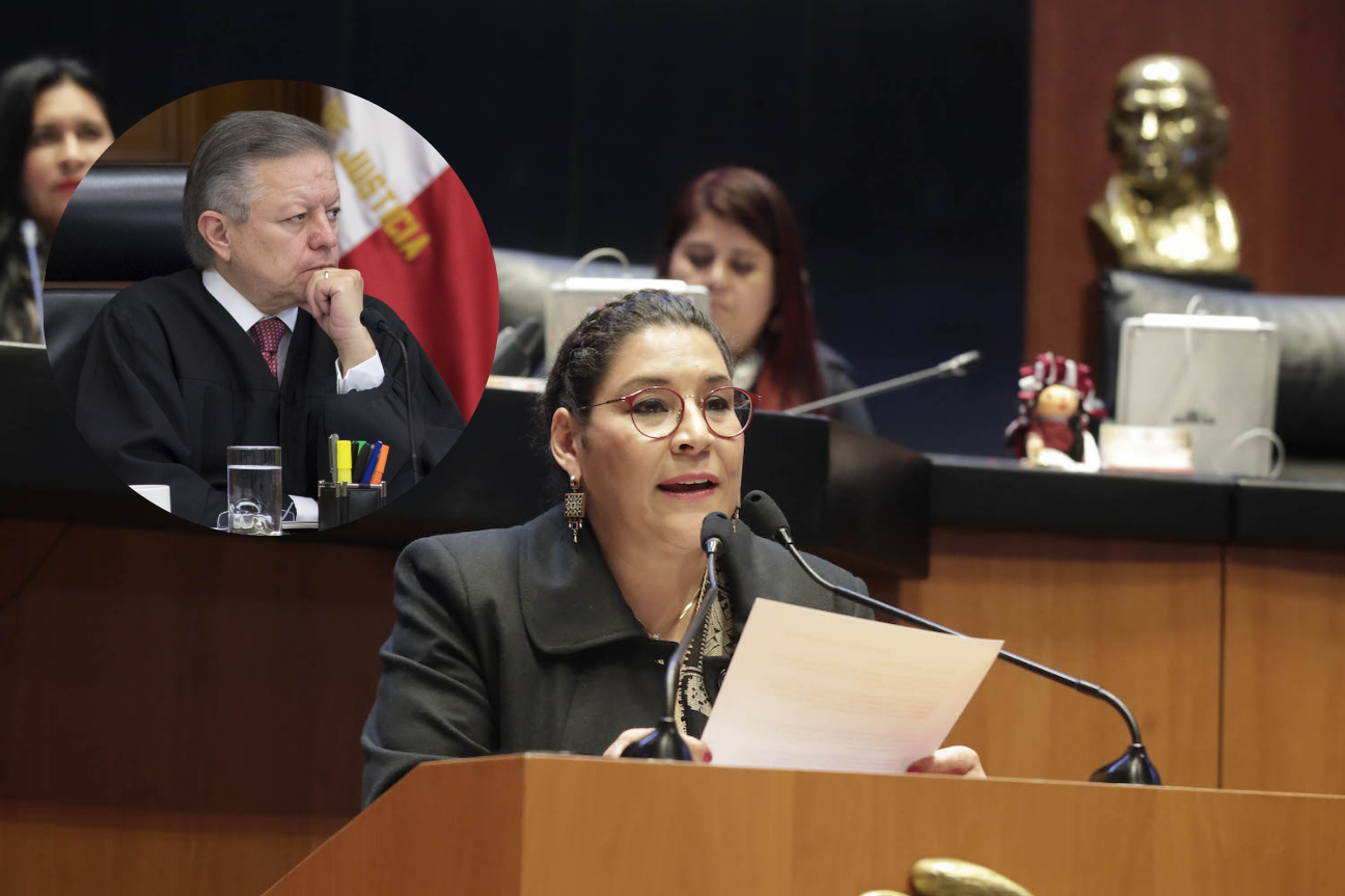 Califica Lenia Batres como “ilegal” la investigación contra Arturo Zaldívar