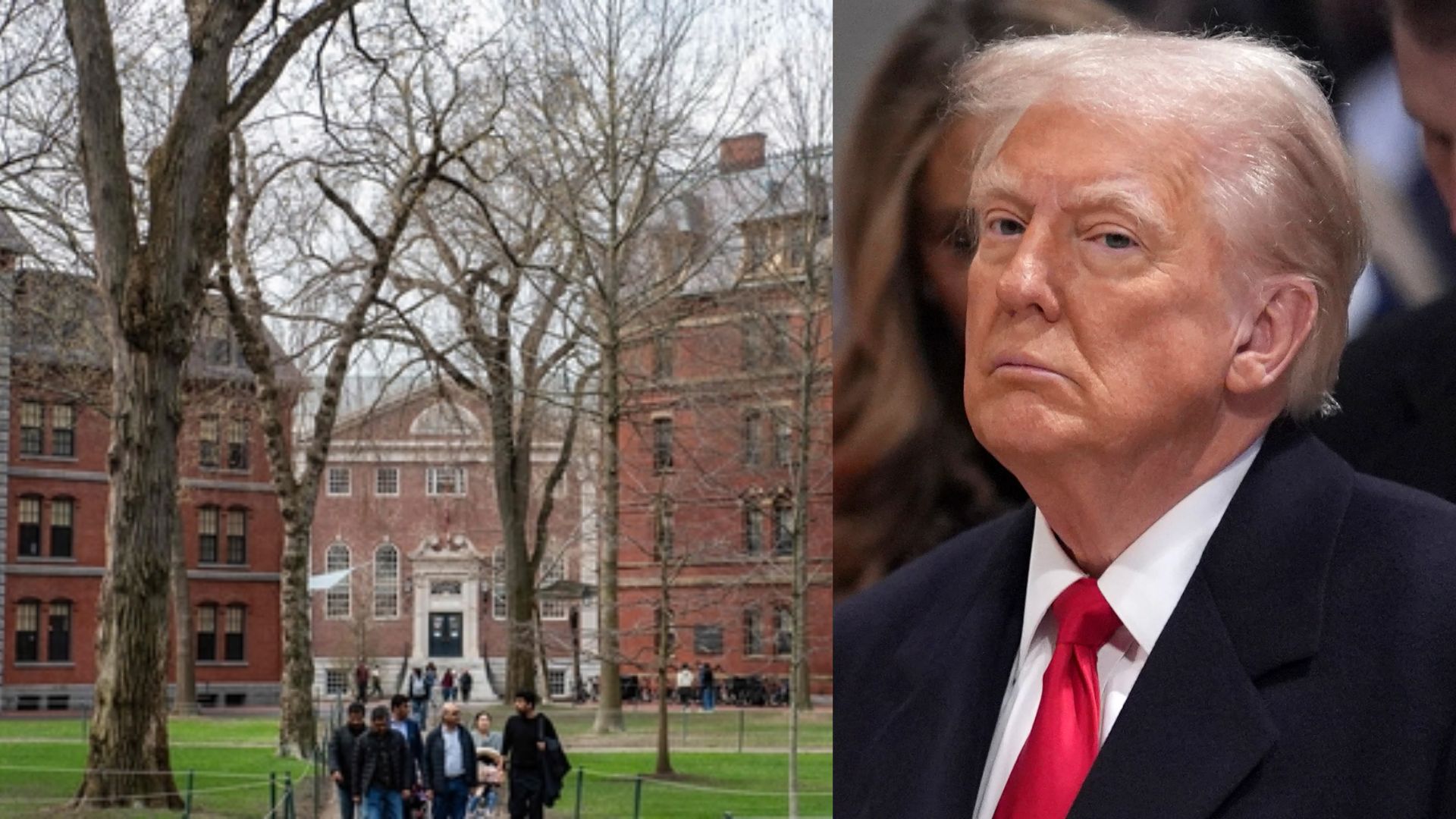 Emite jueza una restricción temporal al plan de Trump de prohibir el ingreso de extranjeros a Harvard