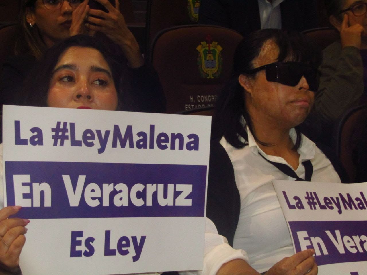 Veracruz aprueba la “Ley Malena” para castigar la violencia ácida con hasta 30 años de cárcel