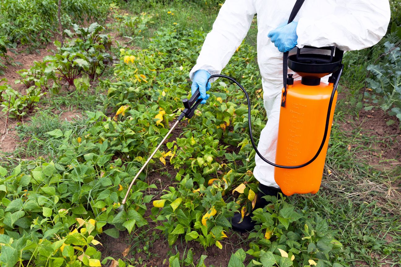 Firma Trump orden executiva para impulsar producción de glifosato en Estados Unidos