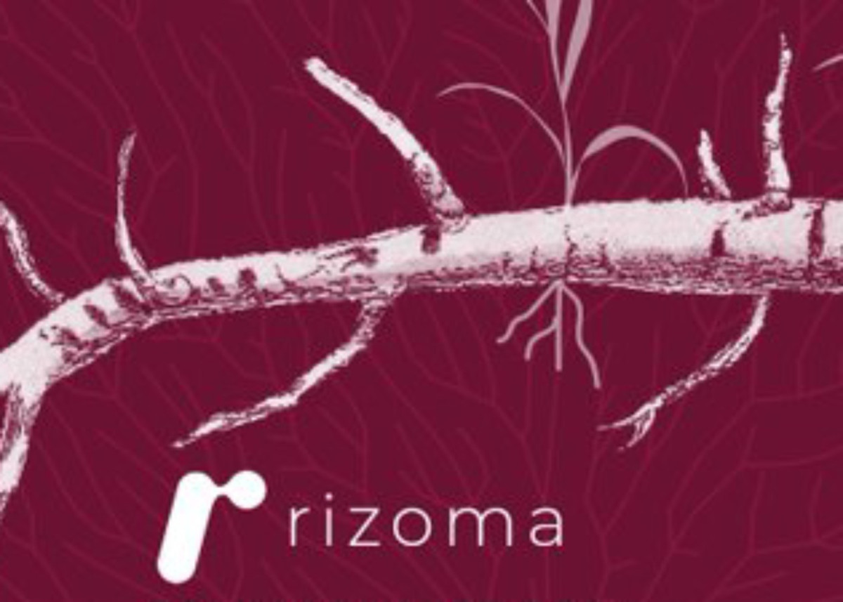 Presenta el Conahcyt Rizoma, plataforma soberana y pública para el acceso abierto al conocimiento