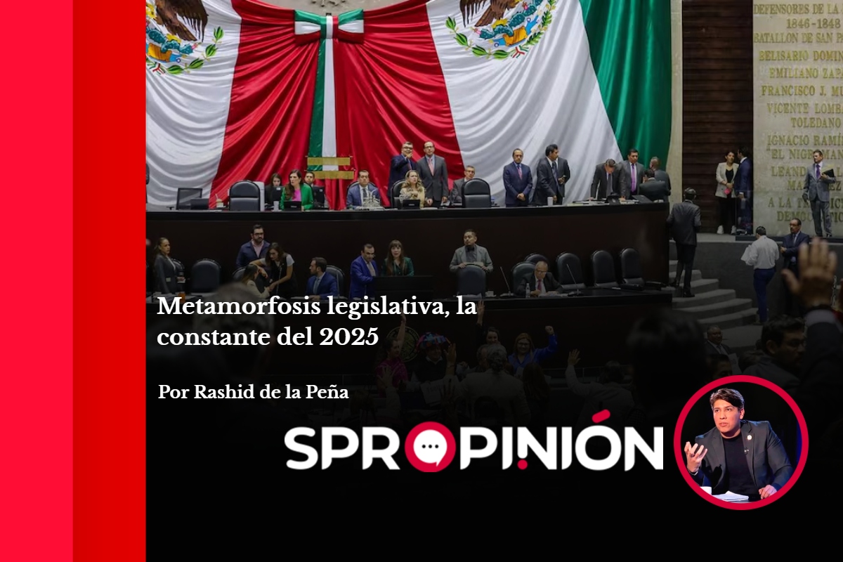 Metamorfosis legislativa, la constante del 2025