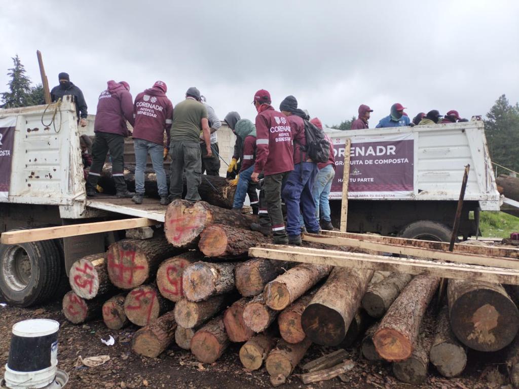 Aseguran miles de trozas de madera de la tala ilegal de árboles en operativos contra talamontes