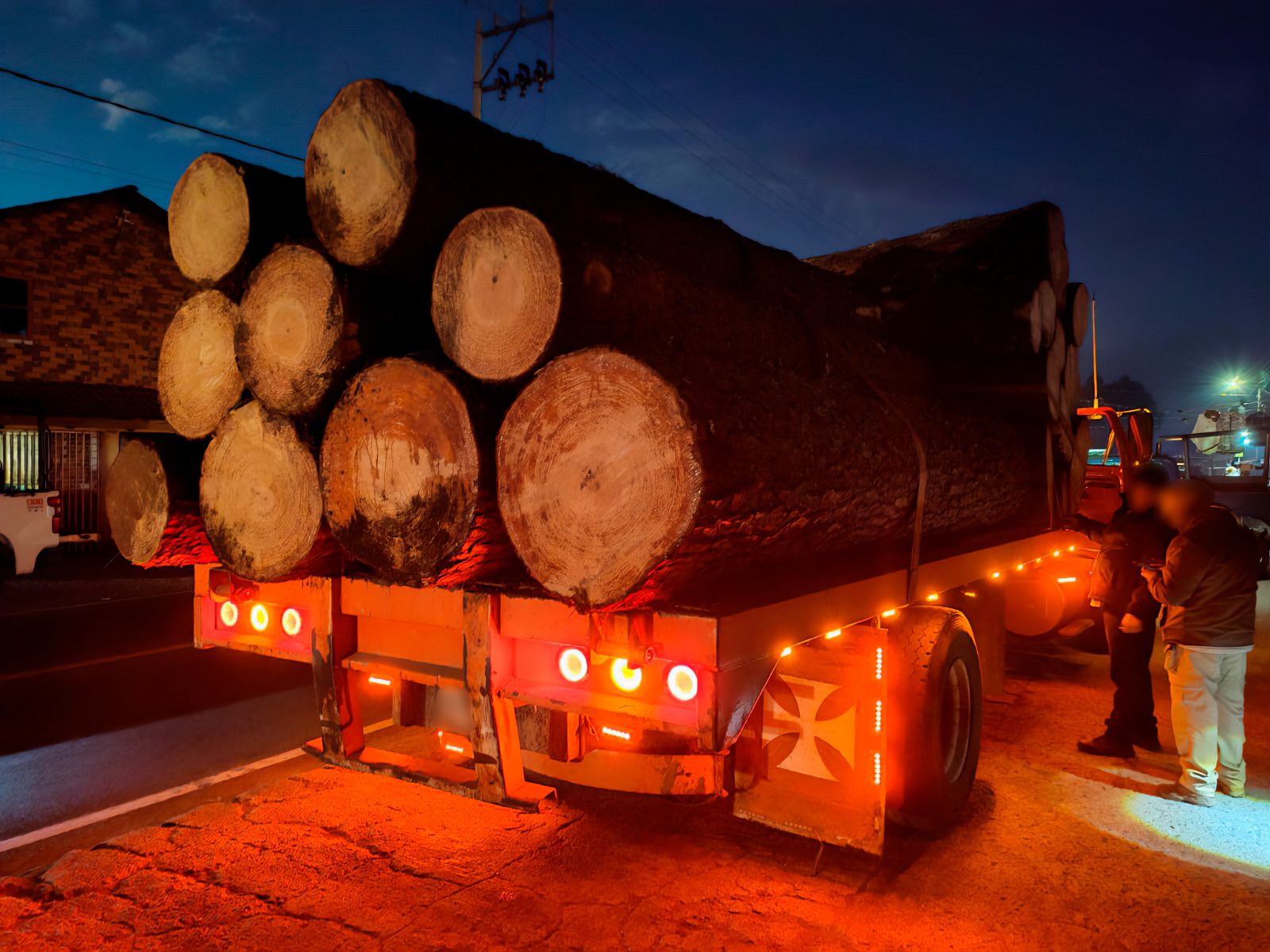 Realizó Profepa operativo nacional contra transporte ilegal de materias primas forestales