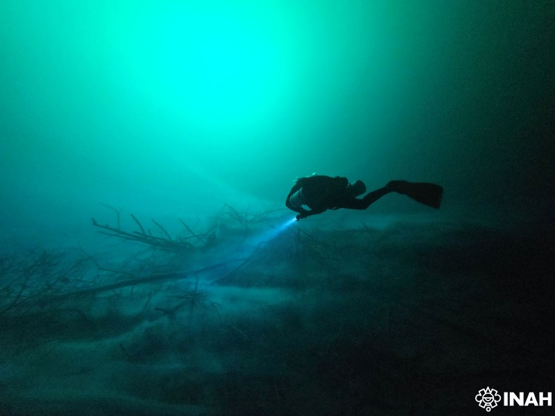 Hallan restos de una posible mujer antigua en el cenote Yaakun; INAH inicia proyecto para su protección